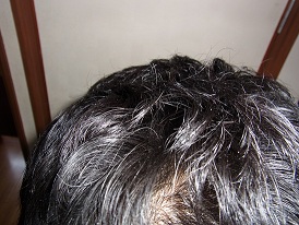 ,y,Vv[